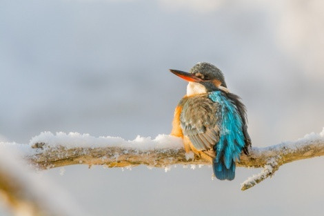 Photo by: Vadim Polyakov