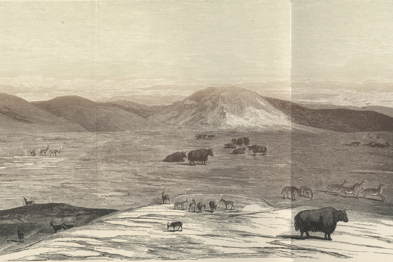 Рисунок В. И. Роборовского из Второй Тибетской экспедиции. Фото: Научный архив РГО