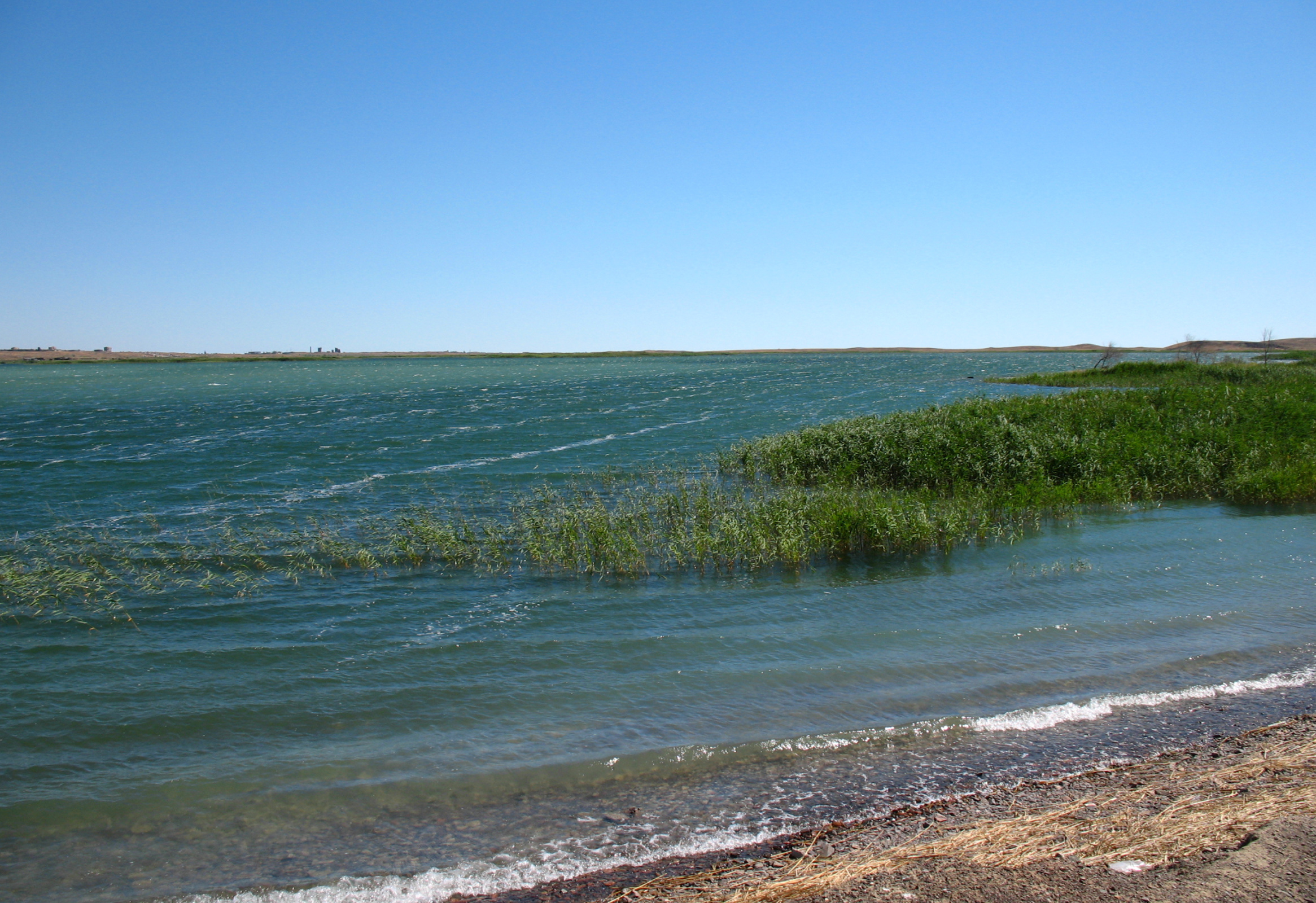 Озеро Балхаш заставило учёного задуматься над природой колебаний воды. Фото: wikipedia.org / Nikolay Yushnikov