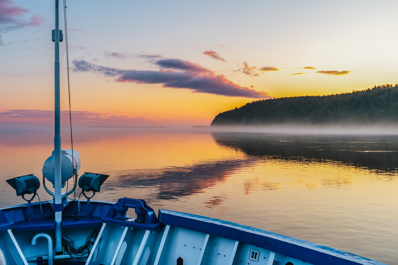 Вдоль берегов Оби. Фото: 