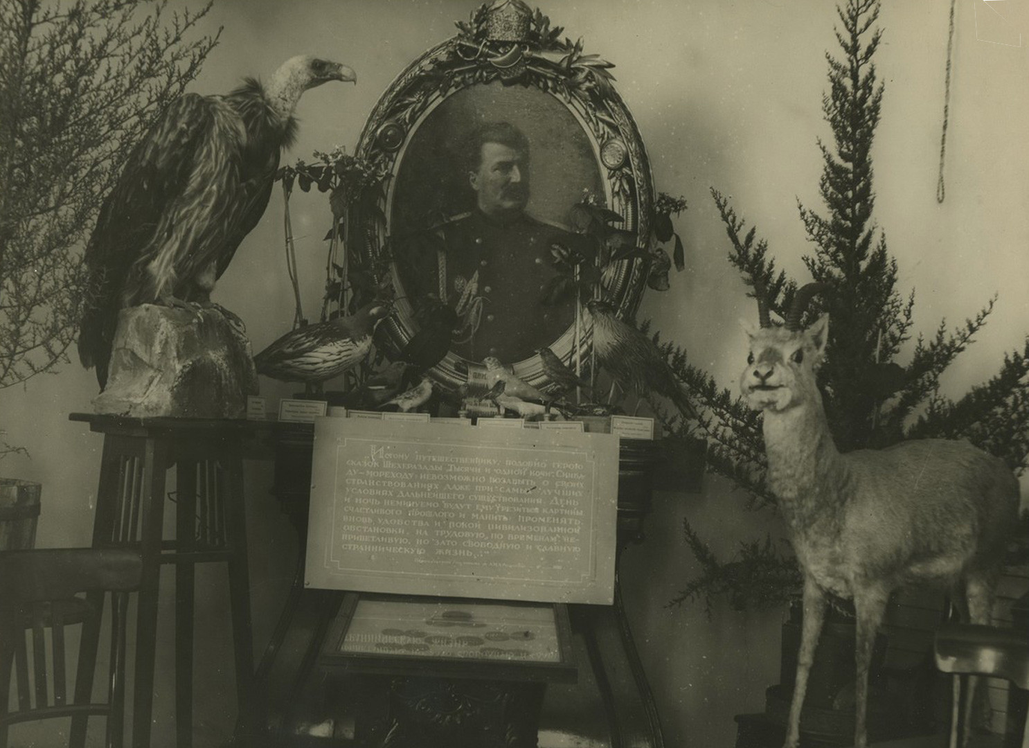 Фотографии выставки материалов экспедиций Н.М.Пржевальского позже, в 1939 г. Фото: Научный архив РГО