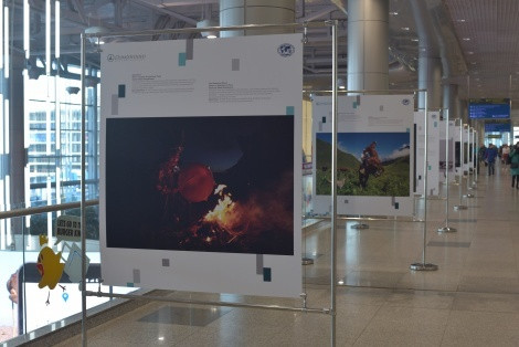 The photo is provided by the Domodedovo airport