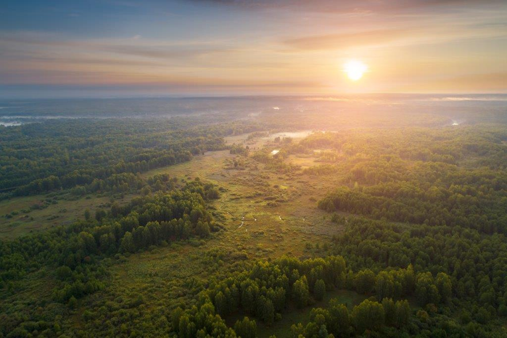 Рассвет над поймой. Фото: Владислав Тябин