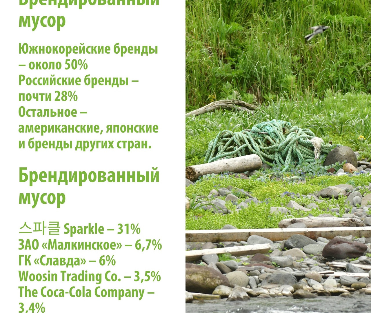 Графика проекта Кроноцкого заповедника