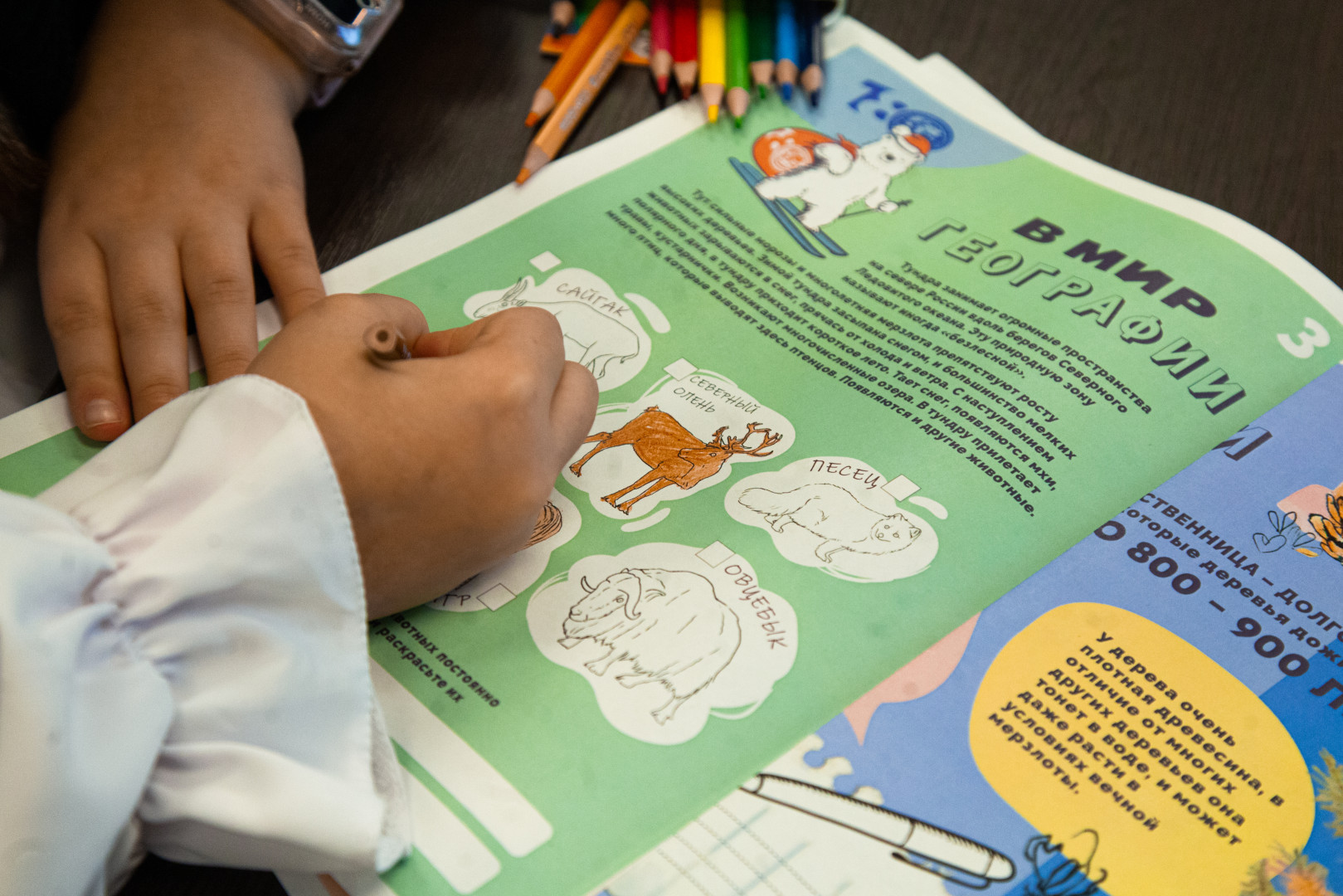 «День географии в школе» в Штаб-квартире Русского географического общества в Москве. Фото: Анна Юргенсон/пресс-служба РГО