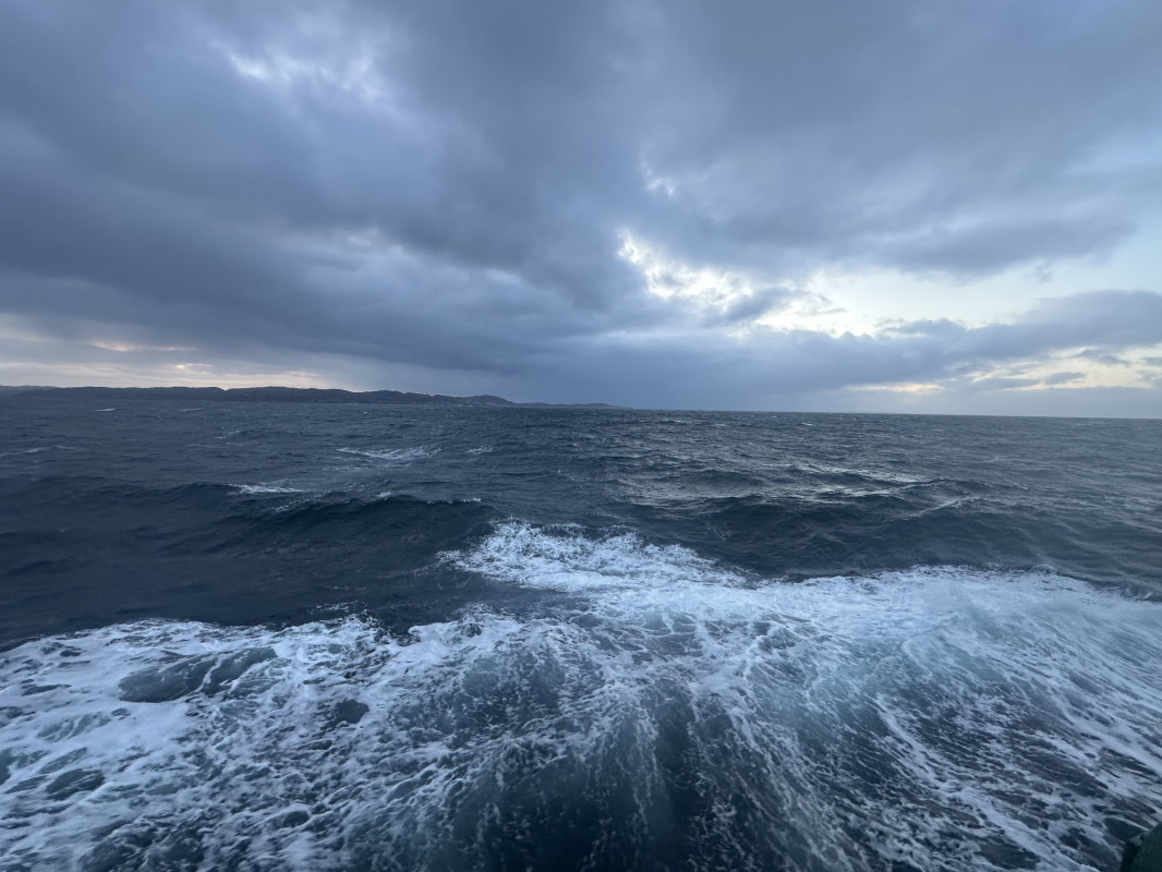 В Северном Ледовитом океане. Фото: О. Батищева