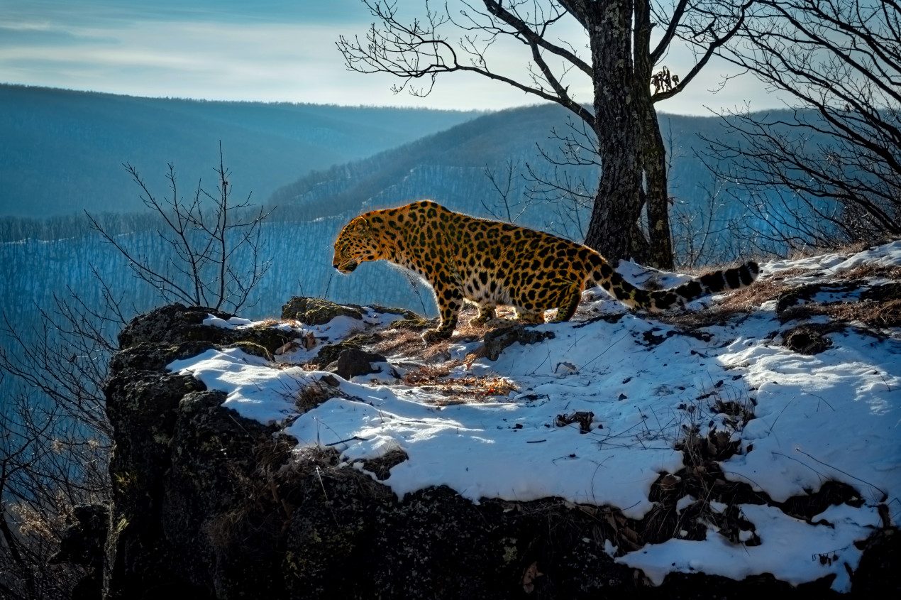 Photo: Yuri Smityuk, participant of the contest of the RGS 