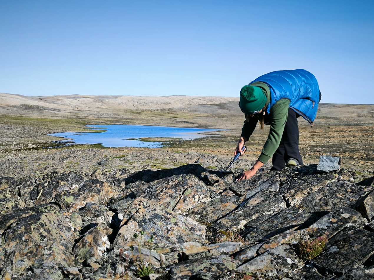 Залив Медвежий — один из южных заливов восточного побережья острова Северный архипелага Новая Земля. Фото из личного архива
