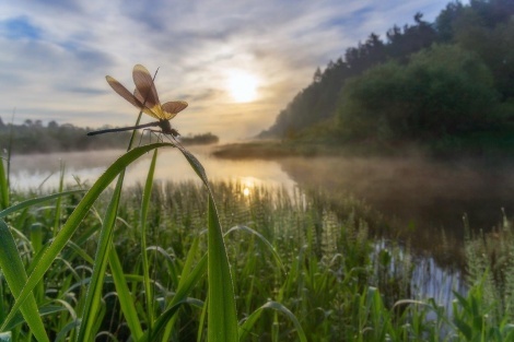 Фото: Марина Мурашова