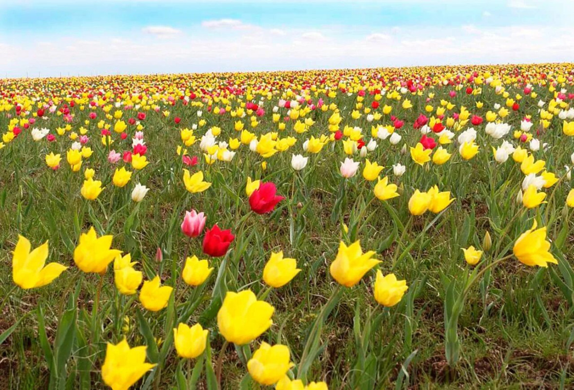 Фото: И. Шидловский