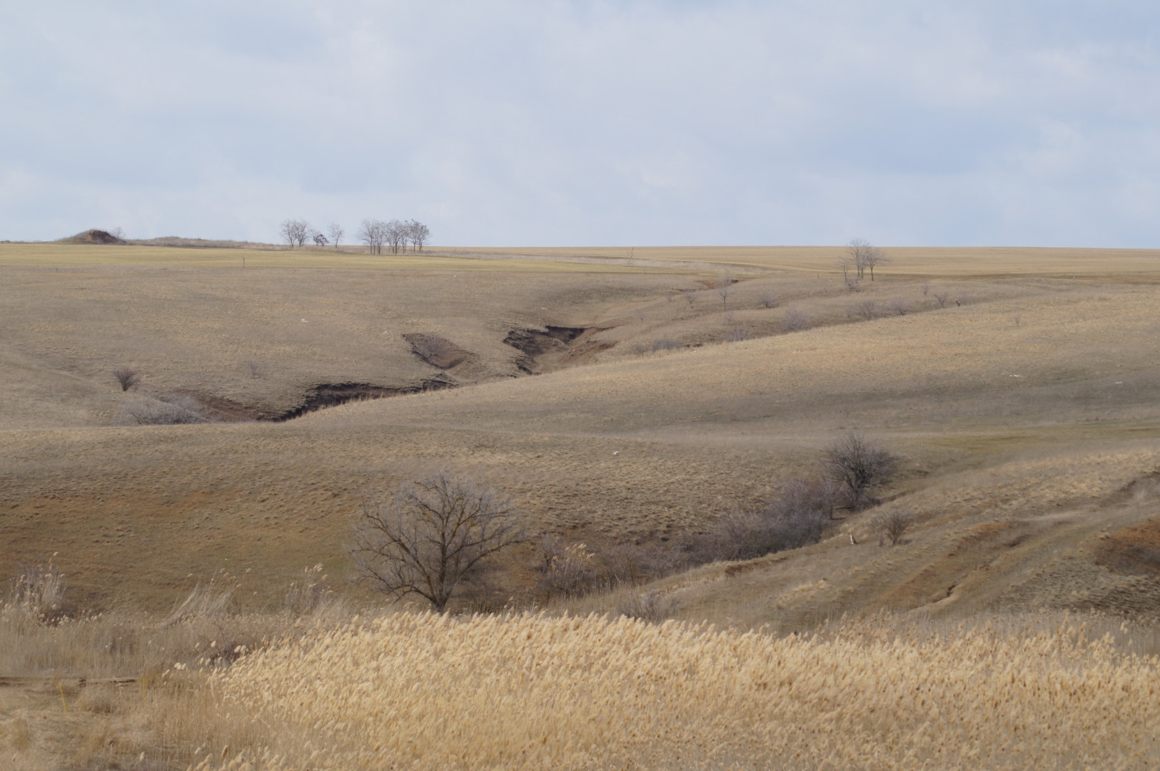 A section of the coastal territory. Photo: SSC RAS