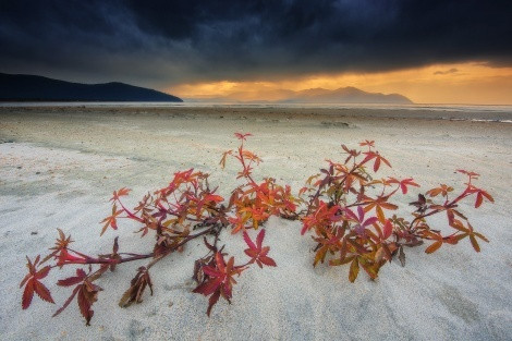 Photo by: Anton Agarkov