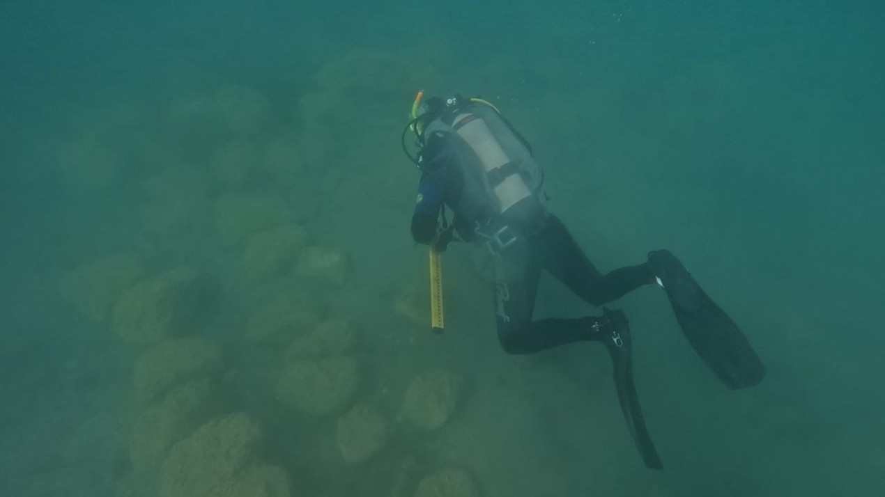 Фото: Алексей Журавлёв