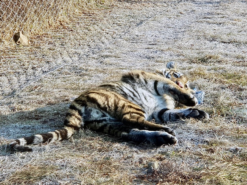 Фото предоставлено Центром