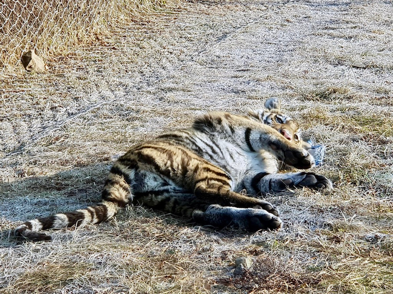 Фото предоставлено Центром 