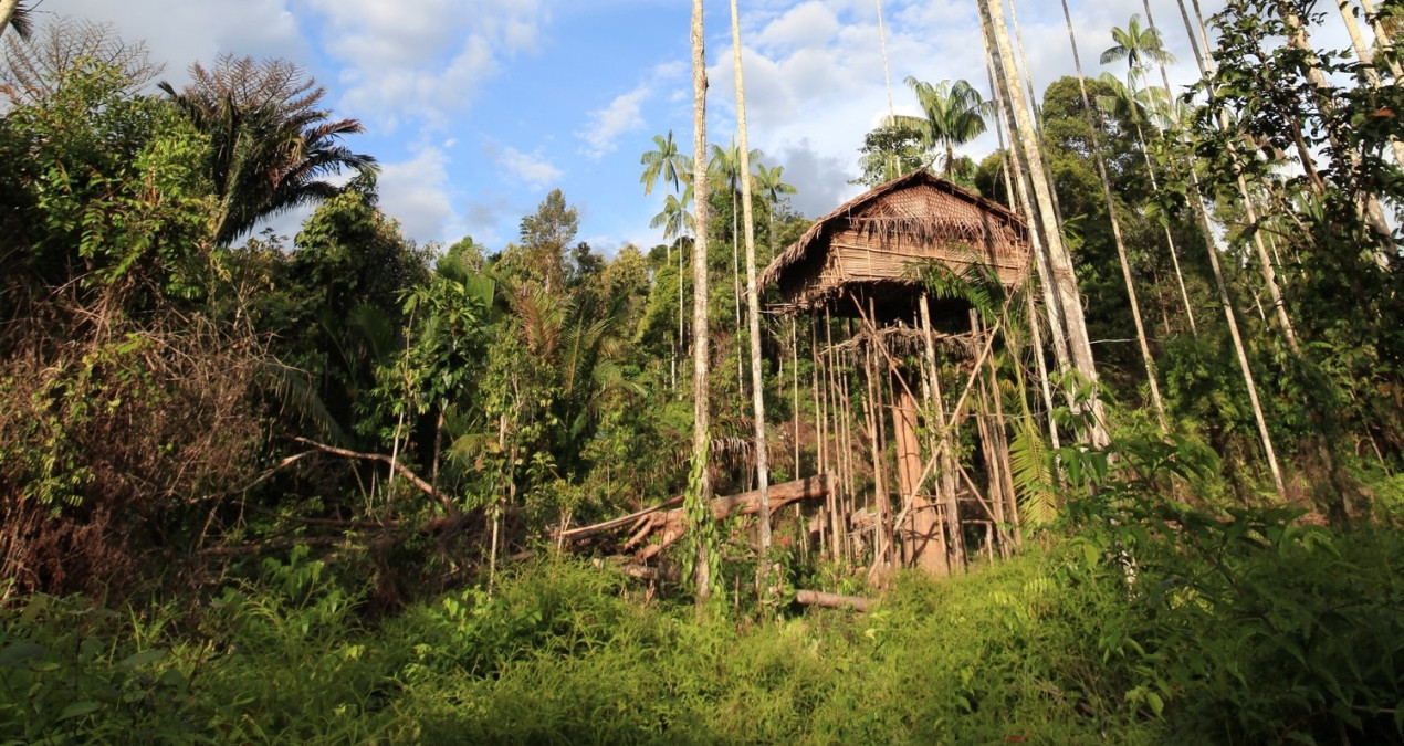 Традиционное жилище короваев. Фото: MZUNGU EXPEDITIONS