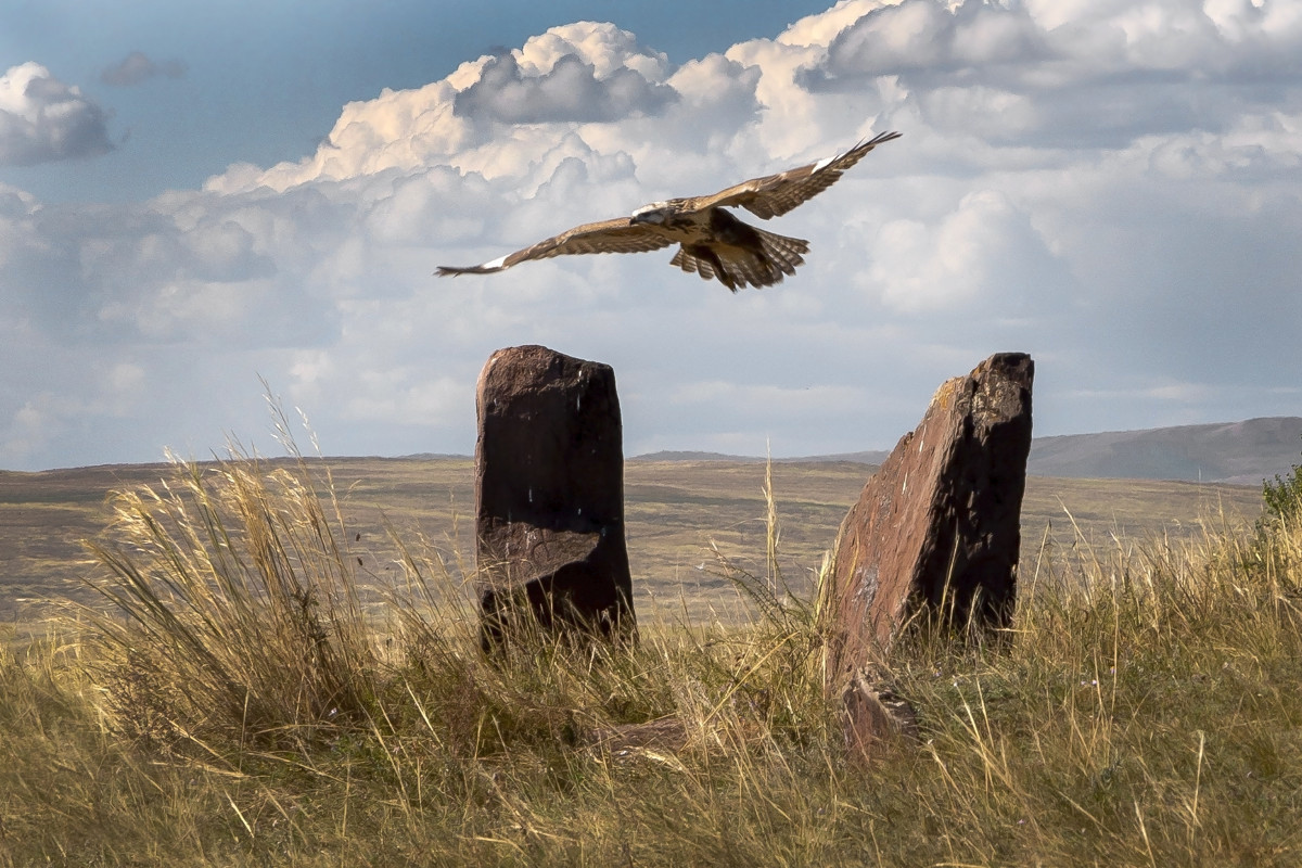 Khakasski Nature Reserve. Photo: Oleg Teterin, participant of the RGS contest
