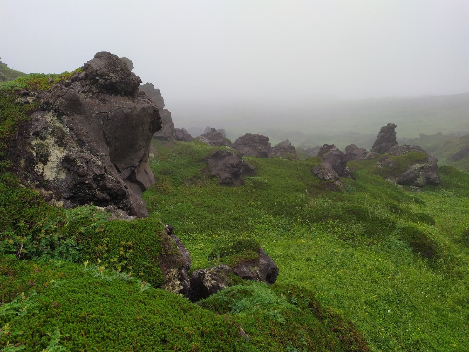 Вулканический остров Чирпой – один из двух островов Черные Братья. Фото: Елена Глазкова