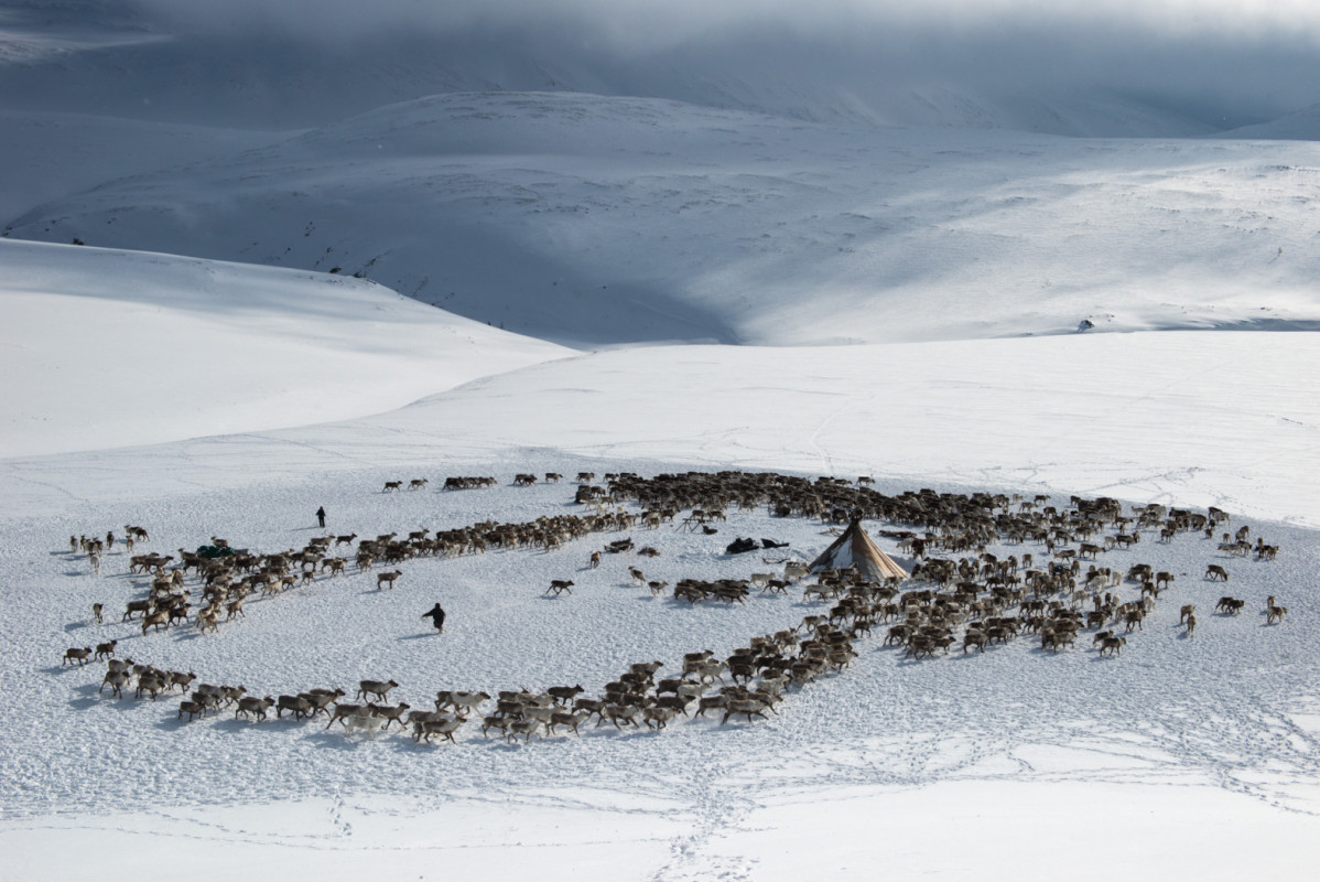 Ямальский хоровод. Фото: Светлана Горбатых. Победитель в номинации "Россия с высоты птичьего полета" фотоконкурса РГО "Самая красивая страна"