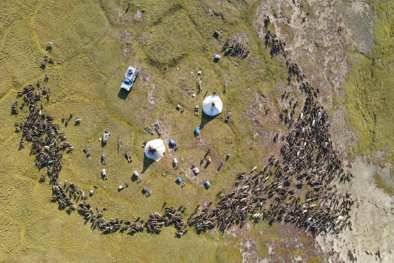 Тундра с высоты птичьего полета. Фото: Mzungu Expeditions