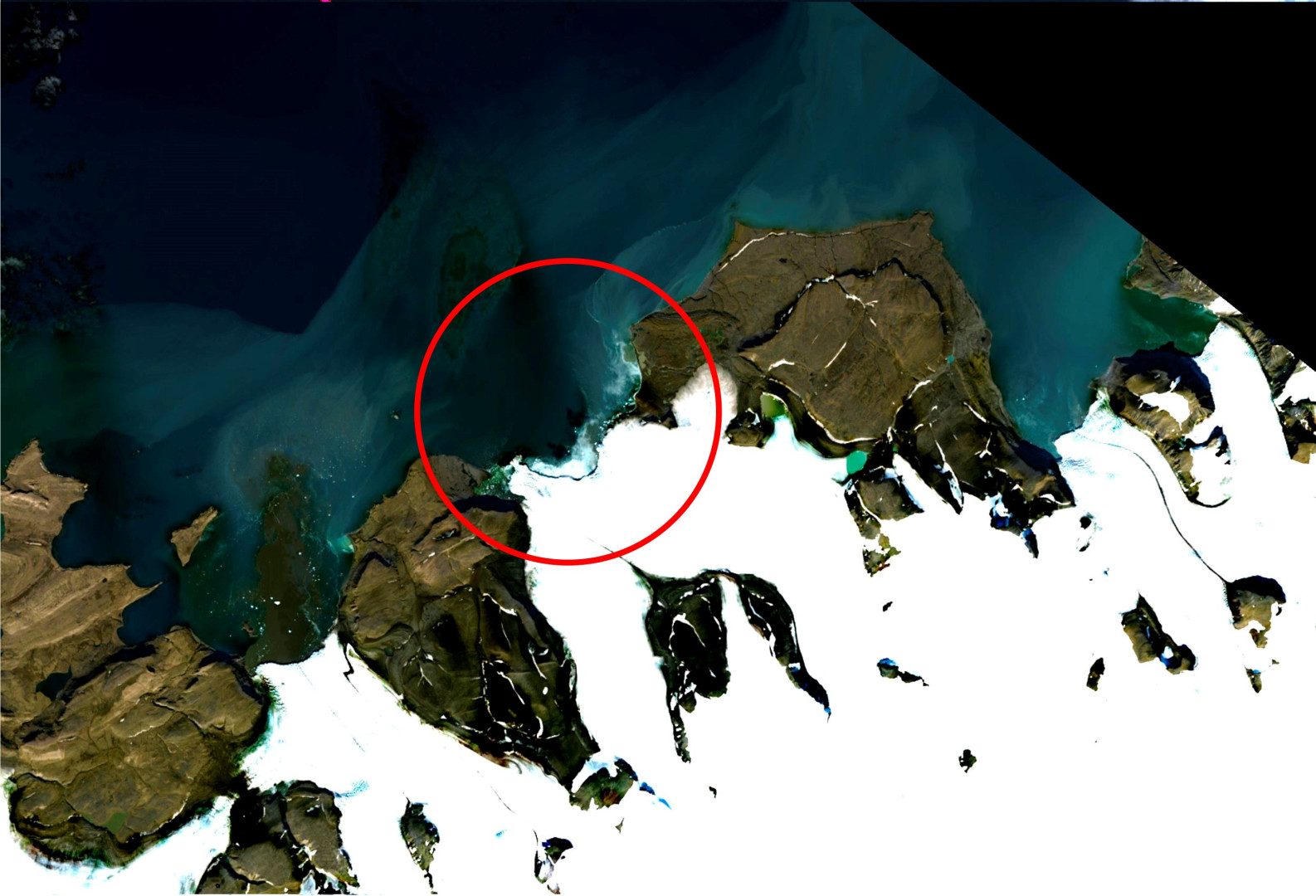  Состояние на 17 августа 2022 года. Фото: спутник Landsat