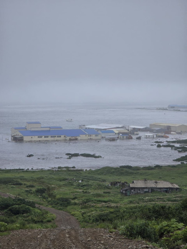 Последствия землетрясения и цунами. Фото: А. Кузовлев