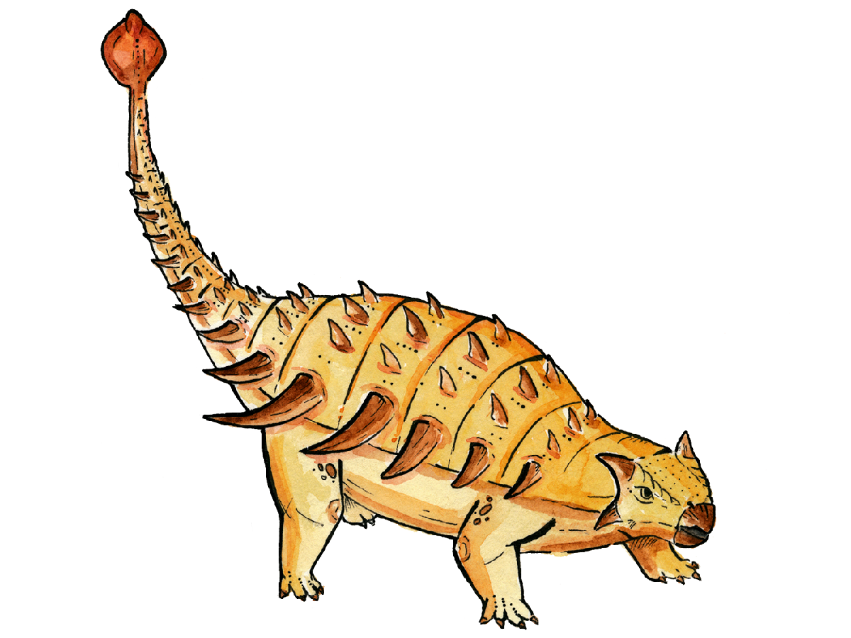 Как мог выглядеть анкилозавр Bissektipelta archibaldi. Изображение с сайта spbu.ru, предоставлено авторами исследования