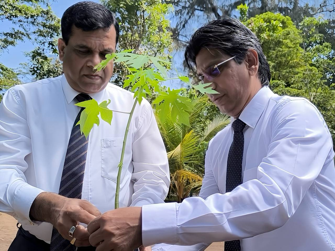 Planting trees. Photo: RGS Center in Sri Lanka
