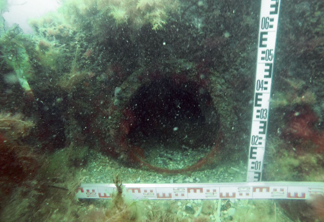 Остов и фрагменты корабля лежат на глубине шесть метров. Фото: центр 