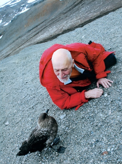 Photo from the MED archive