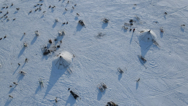 Ненецкие оленеводы круглый год кочуют по Ямалу, оставаясь в чумах даже в самый сильный мороз. Фото: MZUNGU EXPEDITIONS