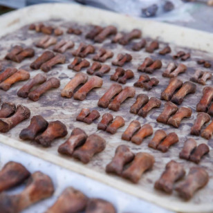 Материал для антропологов 