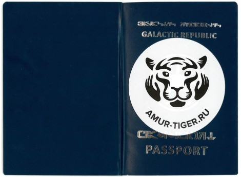 The materials are provided by the press service of the
