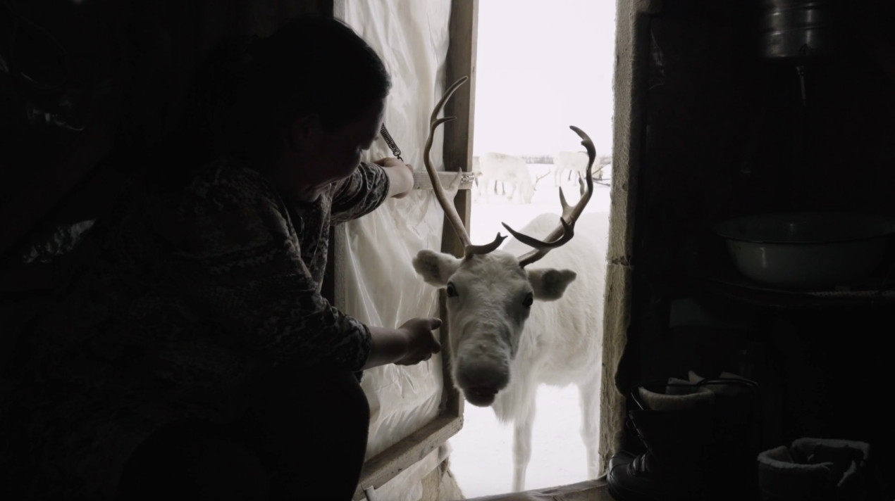 Кадр из фильма