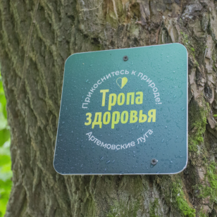 «Тропа здоровья» в Артемовских лугах