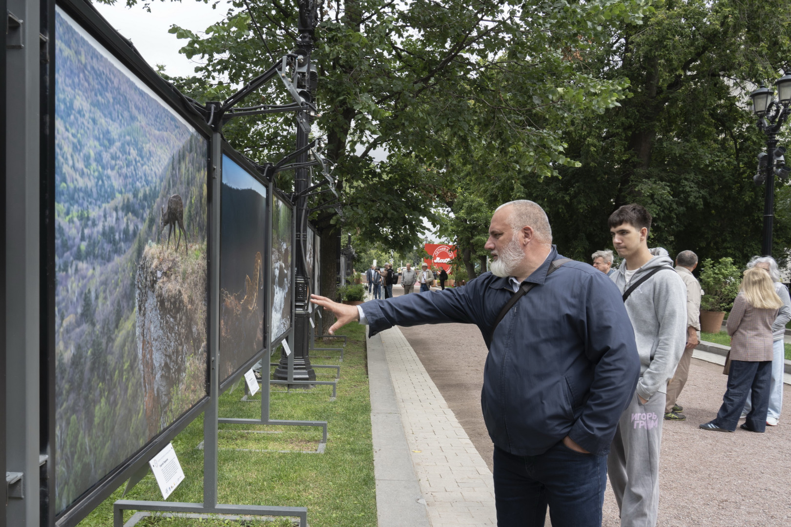 Фотовыставка Сергея Горшкова «Земля больших кошек» проходит на Тверском бульваре, и ее может увидеть каждый желающий. Фото: Владимир Нескоромный / пресс-служба РГО