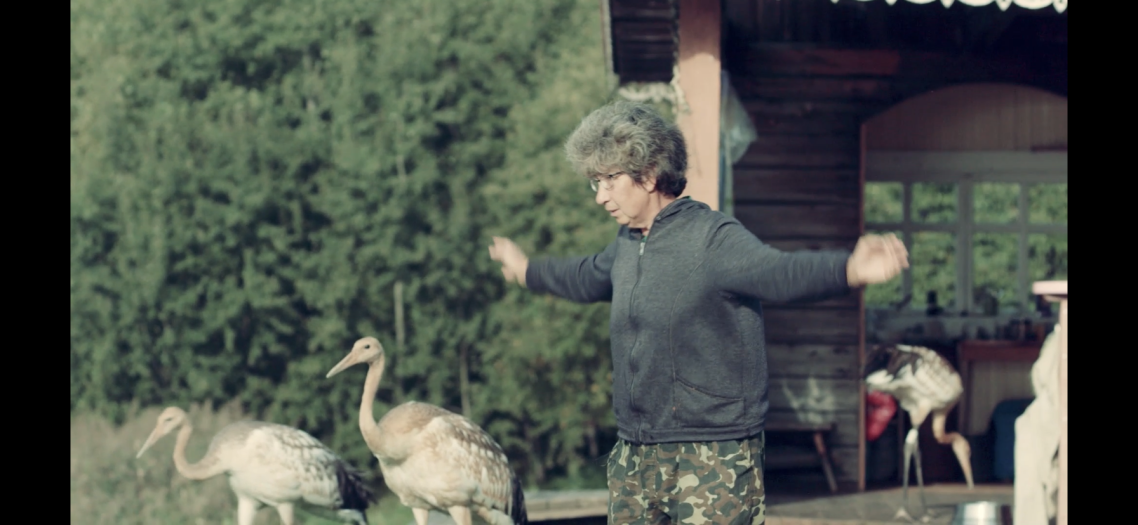 «Воспитатель» журавлей. Кадр из фильма «Территория привязанности». Фото предоставлено Киностудией Горького 