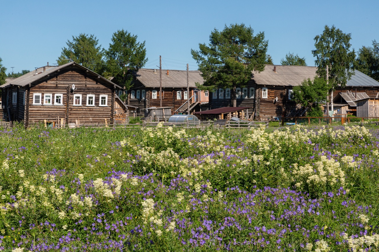 Северная пастораль. Фото: vk.com/golubino_park / Николай Гернет