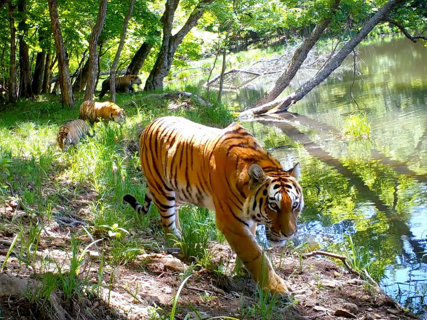 «На новой земле». Фото: Виктор Сторожук, участник фотоконкурса РГО «Самая красивая страна»