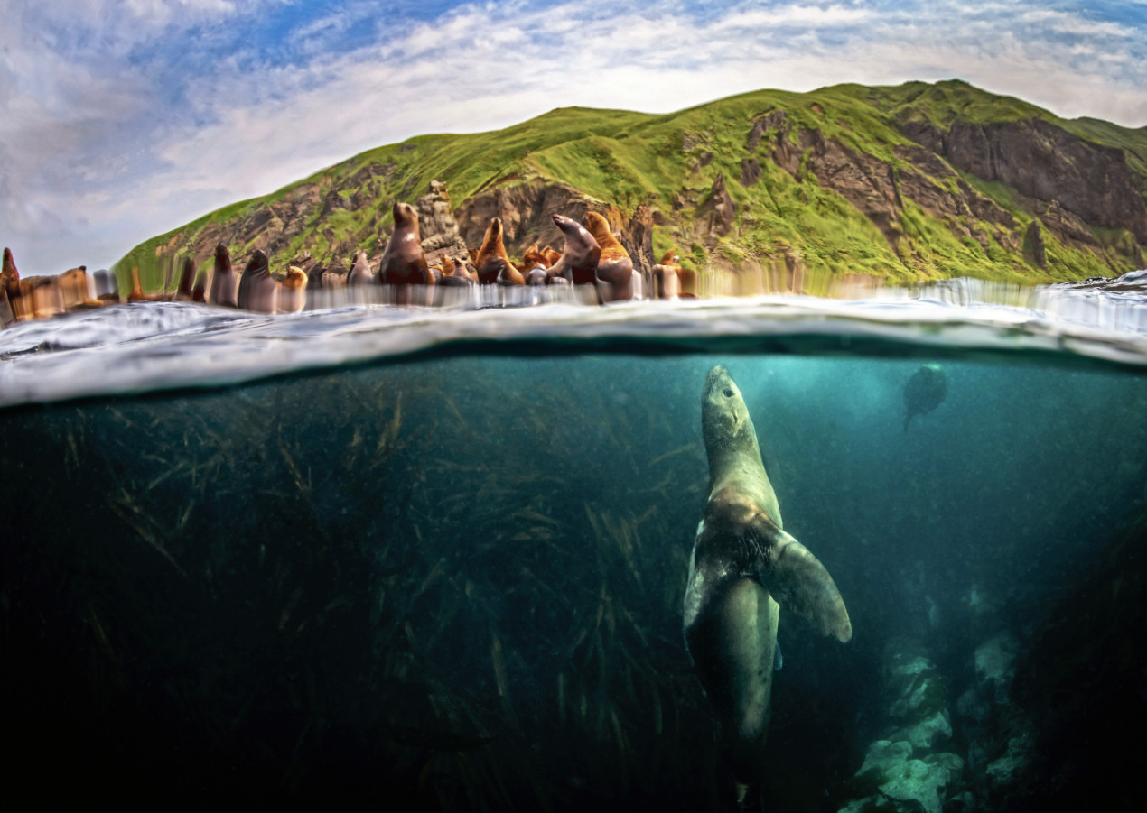 Между двух стихий. Фото: Степан Решетников, участник конкурса РГО 