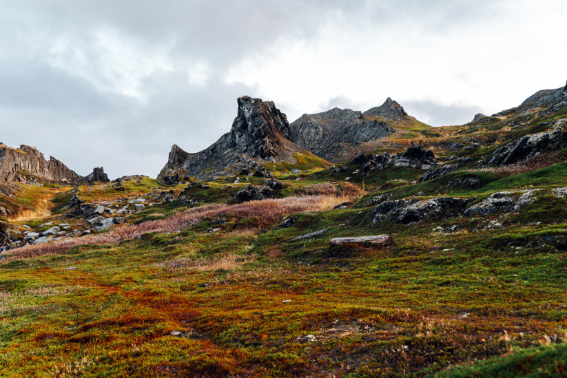 Скалы полуострова Рыбачий. Фото: Ксения Михайлова, участница конкурса РГО "Самая красивая страна"