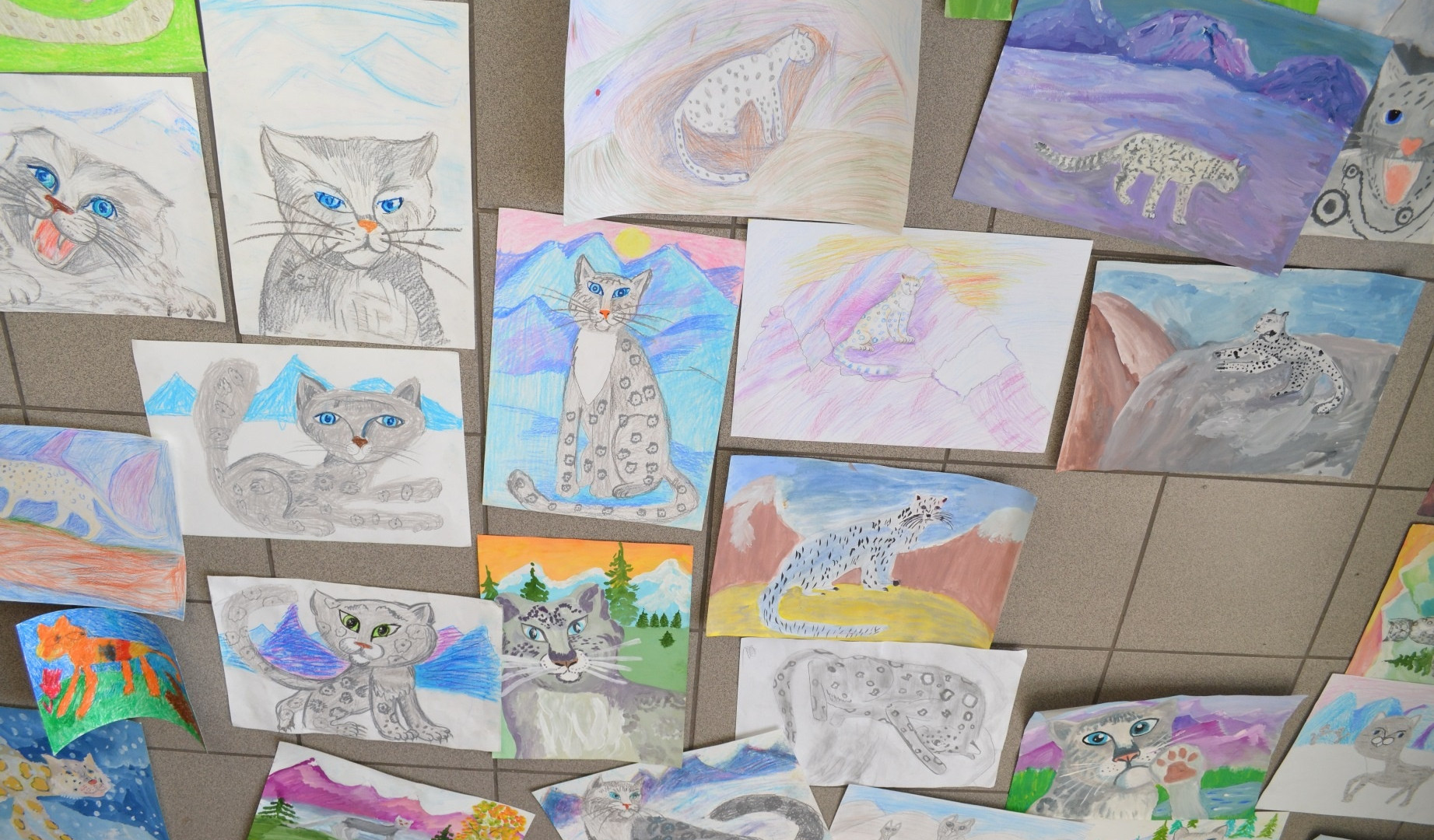 Works of the drawing contest