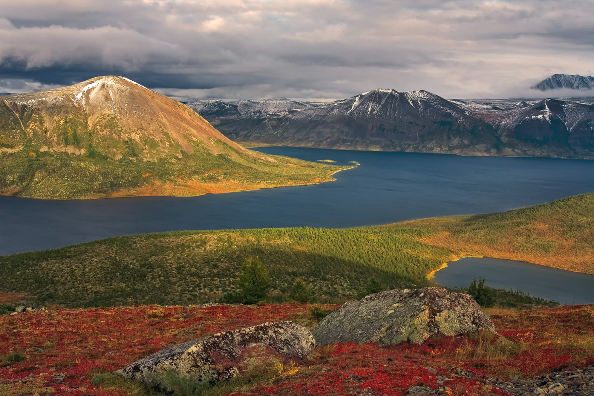 Фото: Сергей Карпухин