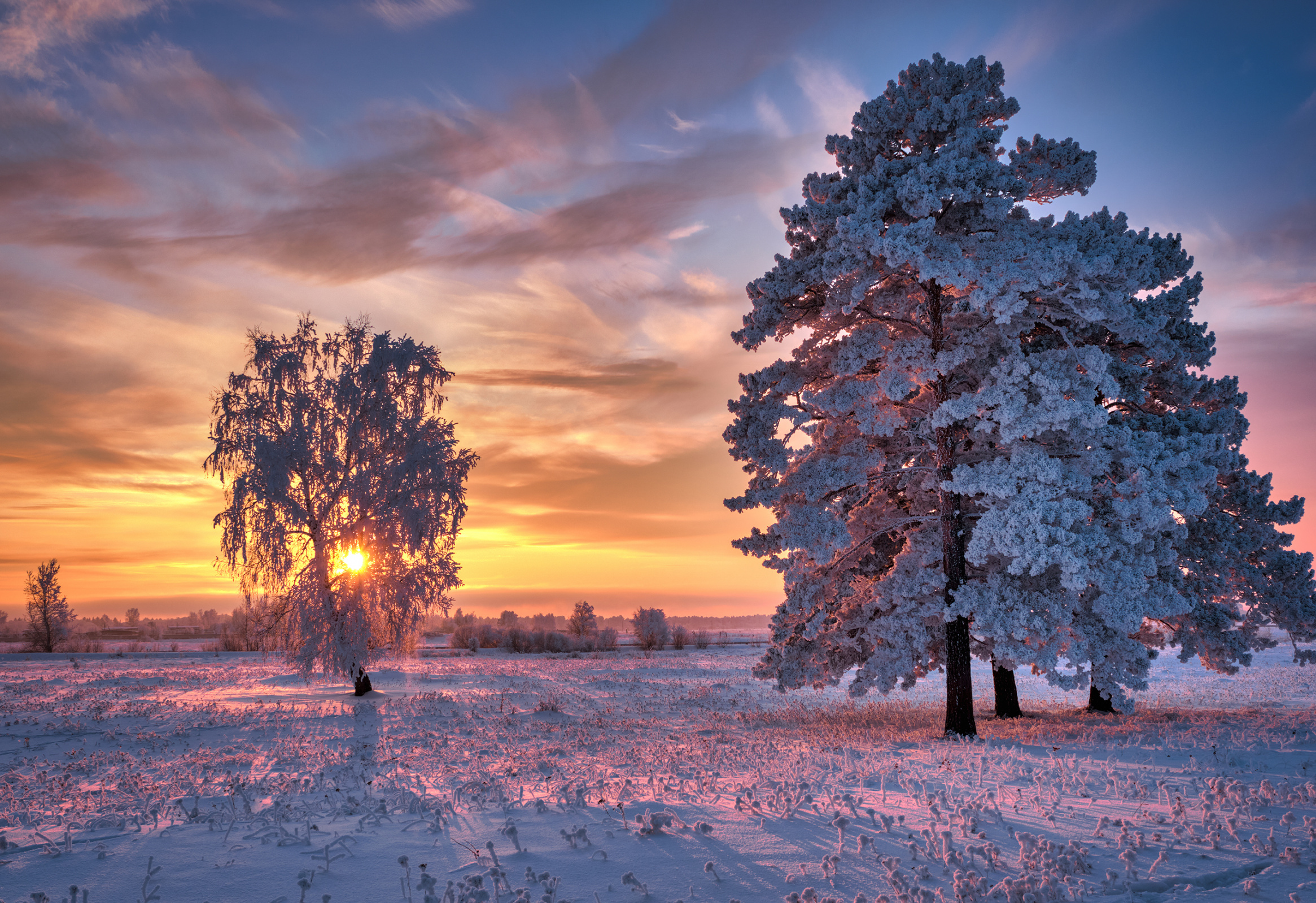 Cold winter. Холод пейзаж. Зимний холодный пейзаж. Теплый зимний пейзаж. Зима пейзаж холодно.