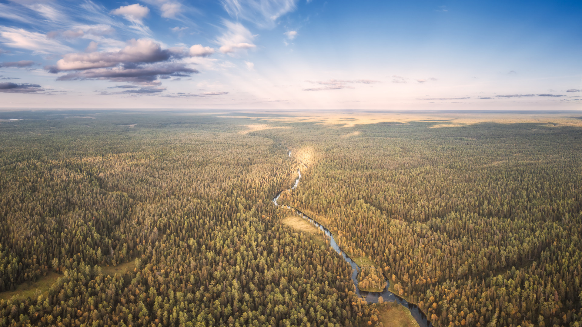 "Northern Forests." Soyansky Nature Reserve, Arkhangelsk Region. Photo: Aleksandr Ermolin, participant in the RGS’s photo contest "The Most Beautiful Country"