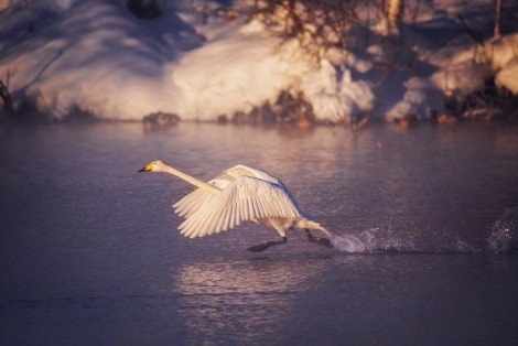 Photo by: Nikolay Denisov