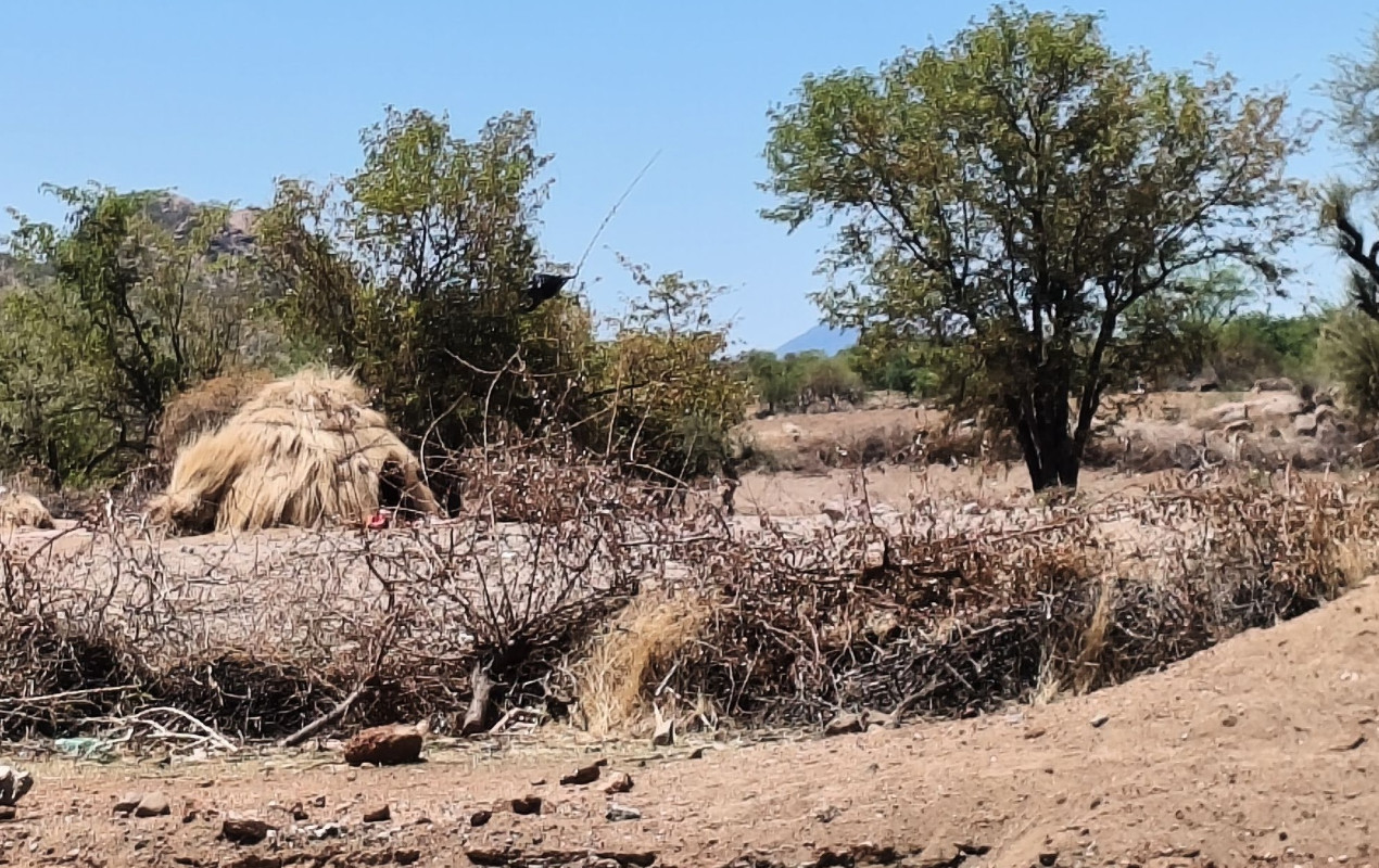 Фото: Н. Носов