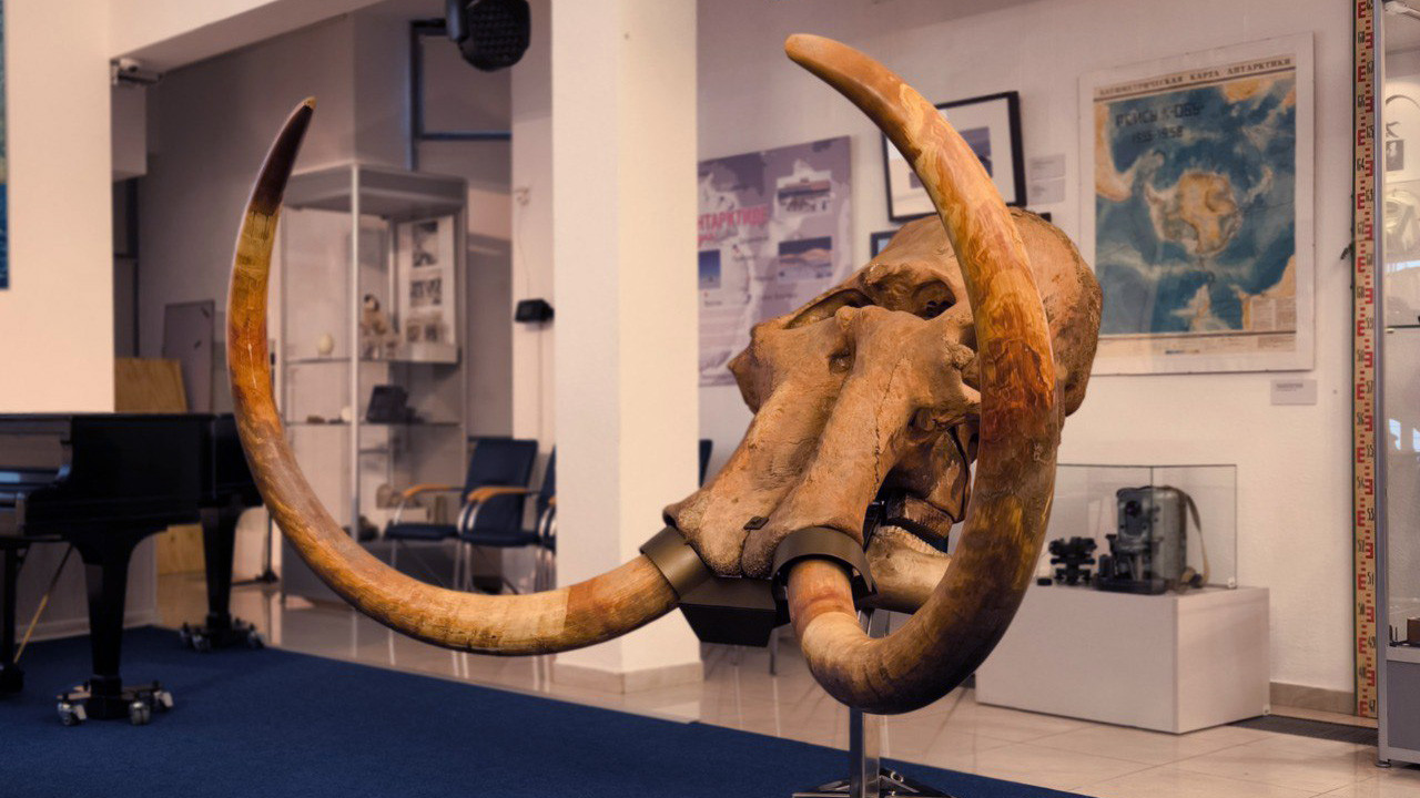 Пополнение фондов музея. Фото: пресс-служба Музея Мирового океана