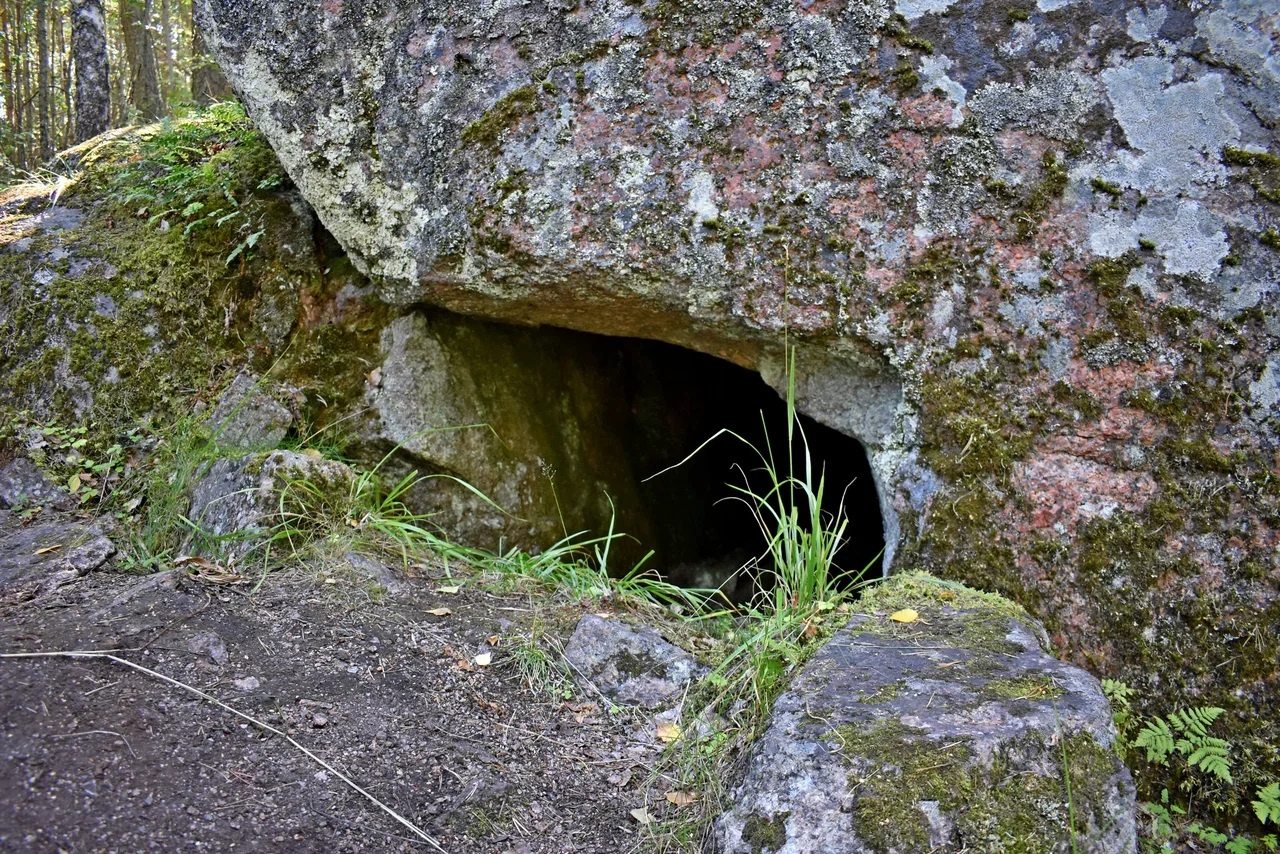Фото: Алина Чемерис