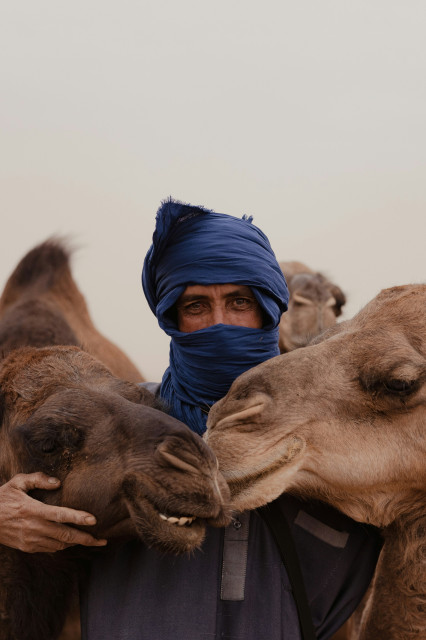Кочевники пустыни. Фото: Faruk Tokluoğlu / unsplash.com